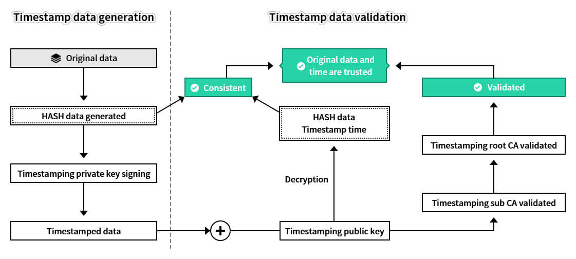 Timestamp, a Required Data Field in the Era of Big Data