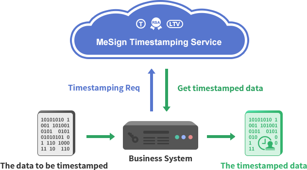 Data & files times tamping service